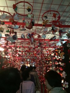 IMG_1170 (300x400)