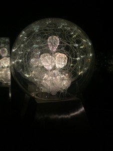IMG_1186 (300x400)