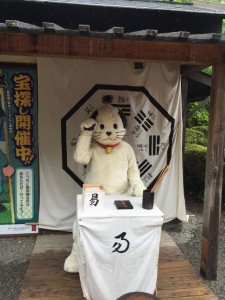 2016年06月27日~28日 (6) (480x640)